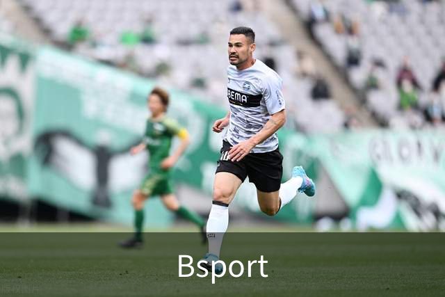 Bsport公司环境